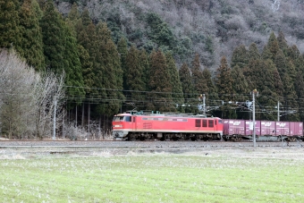 JR貨物 EF510形 EF510-1 鉄道フォト・写真 by norikadさん 湯尾駅：2024年03月03日14時ごろ