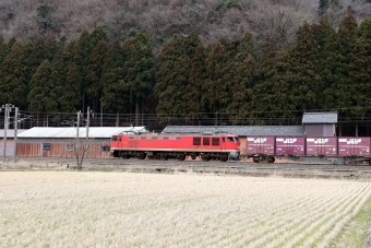 JR貨物 EF510形 EF510-1 鉄道フォト・写真 by norikadさん 湯尾駅：2024年03月03日14時ごろ