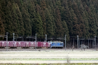 JR貨物 EF510形 EF510-514 鉄道フォト・写真 by norikadさん 湯尾駅：2024年03月03日14時ごろ