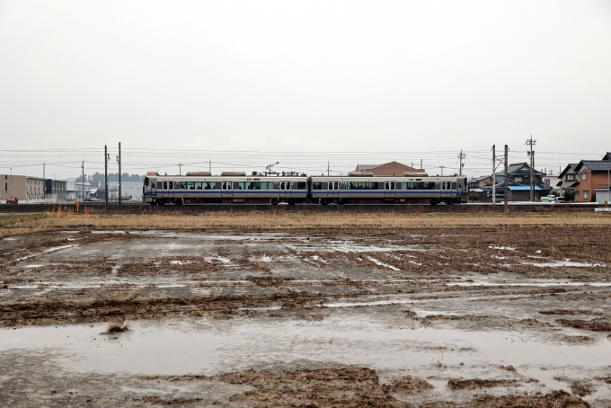 JR西日本521系電車 クハ520形(Tpc') 鉄道フォト・写真 by norikadさん 北鯖江駅：2024年03月05日07時ごろ