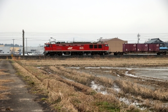 JR貨物 EF510形 EF510-23 鉄道フォト・写真 by norikadさん 北鯖江駅：2024年03月05日08時ごろ