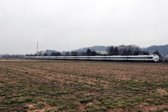 JR西日本 681系電車 サンダーバード(特急) 鉄道フォト・写真 by norikadさん ：2024年03月05日09時ごろ