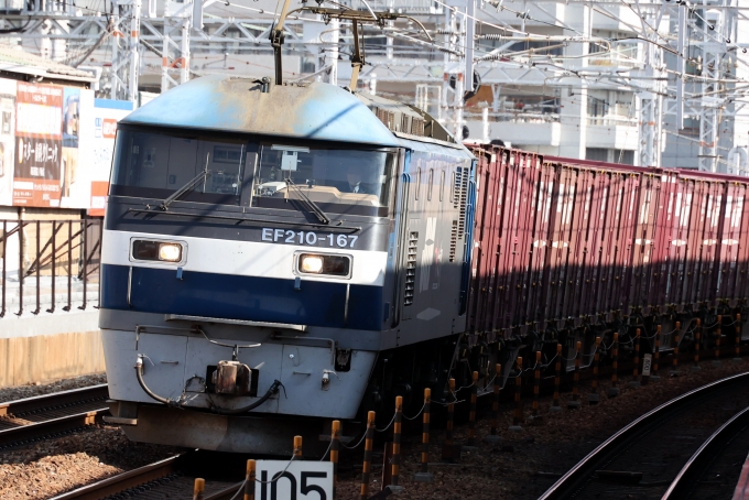 JR貨物 EF210形 EF210-167 鉄道フォト・写真 by norikadさん 垂水駅：2024年02月03日12時ごろ