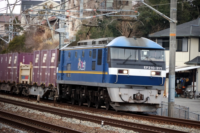 JR貨物 EF210形 EF210-311 鉄道フォト・写真 by norikadさん 西明石駅：2024年02月15日11時ごろ