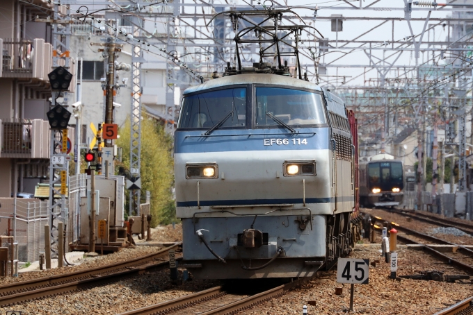 JR貨物 国鉄EF66形電気機関車 EF66-114 鉄道フォト・写真 by norikadさん 須磨駅：2020年04月03日11時ごろ