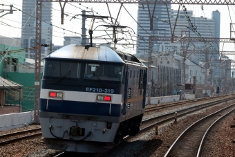 JR貨物 EF210形 EF210-319 鉄道フォト・写真 by norikadさん 新長田駅 (JR)：2024年03月22日13時ごろ