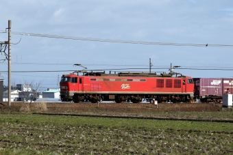 JR貨物 EF510形 EF510-13 鉄道フォト・写真 by norikadさん 近江八幡駅 (JR)：2024年03月27日08時ごろ
