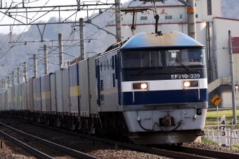 JR貨物 EF210形 EF210-339 鉄道フォト・写真 by norikadさん 近江八幡駅 (JR)：2024年03月27日09時ごろ