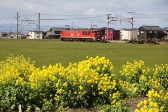 JR貨物 EF510形 EF510-19 鉄道フォト・写真 by norikadさん 安土駅：2024年03月27日10時ごろ