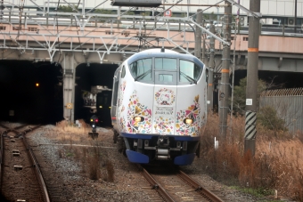 JR西日本281系電車 はるか(特急) 鉄道フォト・写真 by norikadさん 天王寺駅 (JR)：2024年03月19日11時ごろ