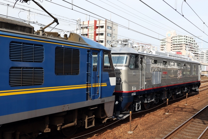 JR貨物 EF510形 EF510-308 鉄道フォト・写真 by norikadさん 垂水駅：2024年03月22日15時ごろ