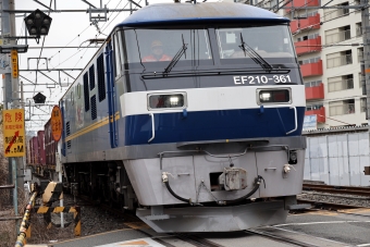 JR貨物 EF210形 EF210-361 鉄道フォト・写真 by norikadさん 平野駅 (大阪府|JR)：2024年03月19日12時ごろ