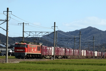 JR貨物 EF510形 EF510-23 鉄道フォト・写真 by norikadさん 近江八幡駅 (JR)：2024年03月27日09時ごろ