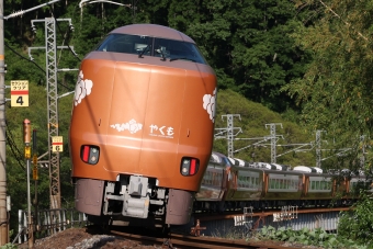 JR西日本273系電車 やくも(特急) 鉄道フォト・写真 by norikadさん ：2024年06月05日17時ごろ