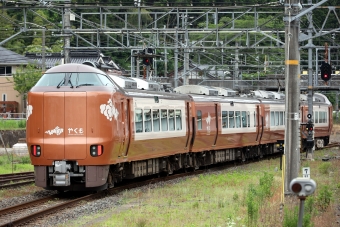JR西日本273系電車 やくも(特急) 鉄道フォト・写真 by norikadさん 新見駅：2024年06月06日09時ごろ