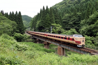 JR西日本 国鉄381系電車 やくも(特急) 鉄道フォト・写真 by norikadさん ：2024年06月06日12時ごろ