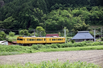 JR西日本 国鉄115系電車 鉄道フォト・写真 by norikadさん 上菅駅：2024年06月06日14時ごろ