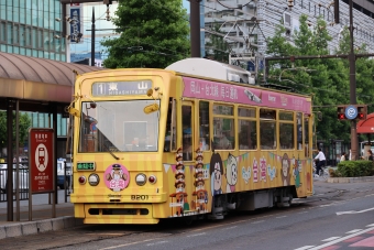 岡山電気軌道 岡電7900形 8201 鉄道フォト・写真 by norikadさん 岡山駅前停留場：2024年06月06日18時ごろ