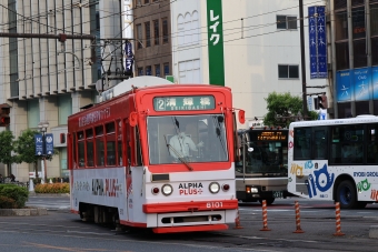 岡山電気軌道 岡電7900形 8101 鉄道フォト・写真 by norikadさん 岡山駅前停留場：2024年06月06日18時ごろ