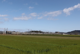 JR西日本223系電車 鉄道フォト・写真 by norikadさん 安土駅：2024年03月27日10時ごろ
