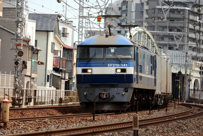 JR貨物 EF210形 EF210-141 鉄道フォト・写真 by norikadさん 須磨駅：2024年05月02日11時ごろ