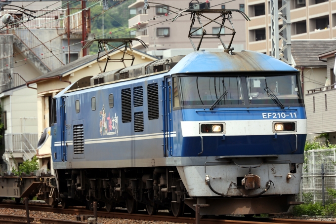JR貨物 EF210形 EF210-11 鉄道フォト・写真 by norikadさん 須磨駅：2024年05月02日11時ごろ