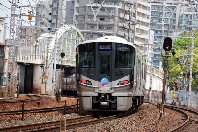 鉄道フォト・写真：JR西日本225系電車 紫式部トレイン クモハ225-124 須磨駅 鉄道フォト・写真 by norikadさん - 撮影日 2024/05/02 11:43