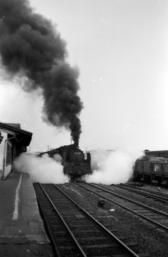 国鉄C11形蒸気機関車 C11-199 鉄道フォト・写真 by norikadさん 加古川駅：1969年11月15日00時ごろ