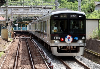 神戸電鉄6000形(Mc2) 6002 鉄道フォト・写真 by norikadさん 鵯越駅：2024年05月29日09時ごろ