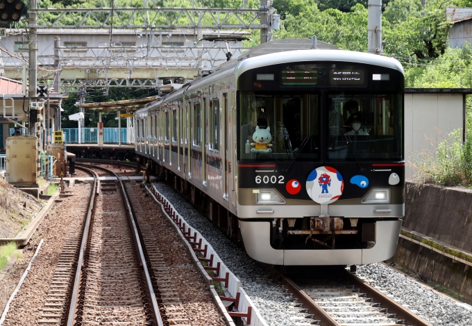 鉄道フォト・写真：神戸電鉄6000系電車 6002 鵯越駅 鉄道フォト・写真 by norikadさん - 撮影日 2024/05/29 09:01