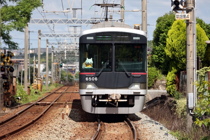 鉄道フォト・写真：神戸電鉄6500系電車 6506 木幡駅 (兵庫県) 鉄道フォト・写真 by norikadさん - 撮影日 2024/05/29 09:34