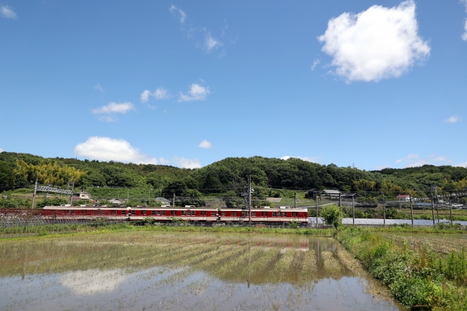 鉄道フォト・写真：神戸電鉄 神戸電気鉄道1000系電車 1504 木幡駅 (兵庫県) 鉄道フォト・写真 by norikadさん - 撮影日 2024/05/29 10:51