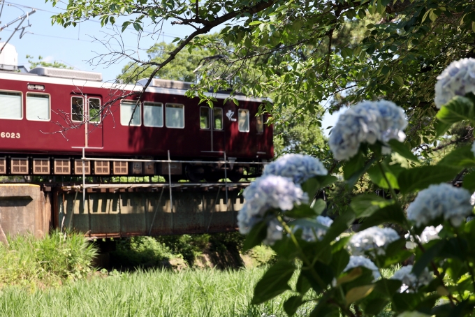 鉄道フォト・写真：阪急電鉄 阪急6000系電車 6023 苦楽園口駅 鉄道フォト・写真 by norikadさん - 撮影日 2024/06/14 09:51