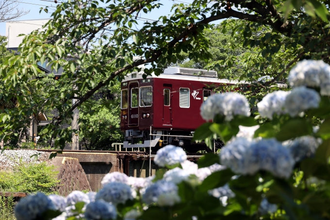 鉄道フォト・写真：阪急電鉄 阪急6000系電車 6110 苦楽園口駅 鉄道フォト・写真 by norikadさん - 撮影日 2024/06/14 10:42