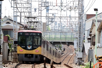 京阪電鉄 京阪8000形(Mc) 8005 鉄道フォト・写真 by norikadさん 藤森駅：2024年06月19日11時ごろ