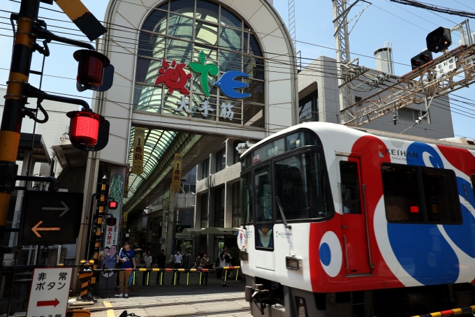 鉄道フォト・写真：京阪電鉄 京阪8000系電車 8057 伏見桃山駅 鉄道フォト・写真 by norikadさん - 撮影日 2024/06/19 12:13