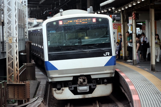 JR東日本E233系電車 鉄道フォト・写真 by norikadさん 新橋駅 (JR)：2024年06月30日16時ごろ