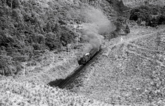 国鉄D51形蒸気機関車 鉄道フォト・写真 by norikadさん 大畑駅 (熊本県)：1970年07月18日00時ごろ
