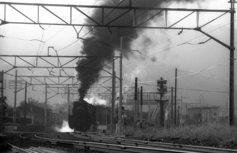 国鉄D51形蒸気機関車 D51-1060 鉄道フォト・写真 by norikadさん 小屋浦駅：1970年08月25日00時ごろ
