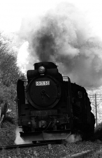 国鉄D51形蒸気機関車 D51-651 鉄道フォト・写真 by norikadさん 井倉駅：1971年01月17日00時ごろ