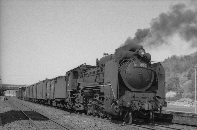 国鉄D51形蒸気機関車 D51-800 御坊駅 (JR) 鉄道フォト・写真 by