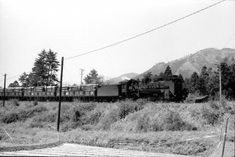 国鉄D51形蒸気機関車 鉄道フォト・写真 by norikadさん 加太駅 (三重県)：1971年04月07日00時ごろ