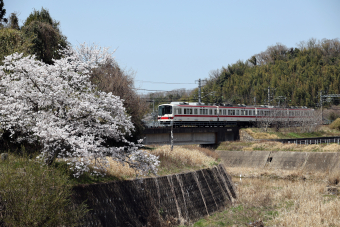 写真像 阪急電鉄 5010 鉄道フォト | レイルラボ(RailLab)
