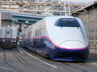 JR東日本 E2系新幹線電車 鉄道フォト・写真 by norikadさん ：2004年01月24日14時ごろ