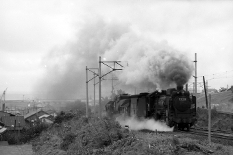 国鉄D51形蒸気機関車 D51-145 鉄道フォト・写真 by norikadさん 小樽駅：1971年09月13日00時ごろ