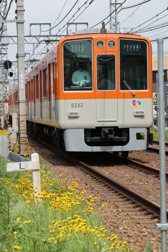 阪神電鉄 8242 (阪神8000系) 車両ガイド | レイルラボ(RailLab)