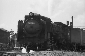 国鉄D52形蒸気機関車 D52-56 鉄道フォト・写真 by norikadさん 長万部駅：1971年09月15日00時ごろ
