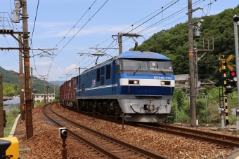 JR貨物 EF210形 EF210-110 鉄道フォト・写真 by norikadさん 有年駅：2020年06月21日11時ごろ