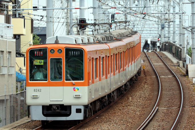 阪神電鉄 8242 (阪神8000系) 車両ガイド | レイルラボ(RailLab)