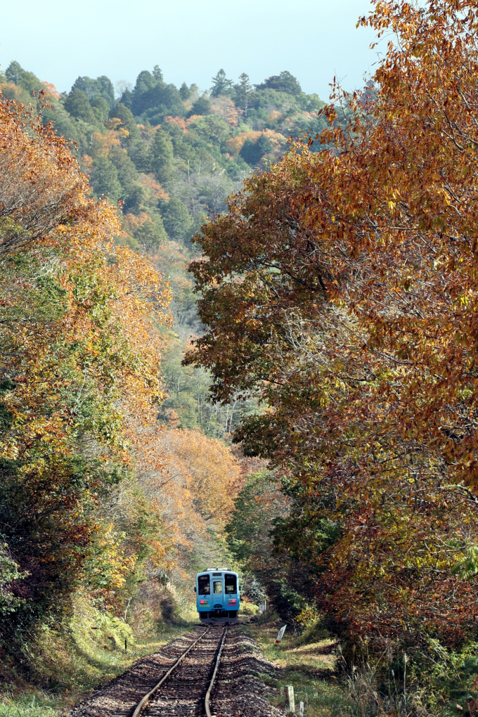 信楽高原鐵道 SKR501 (SKR500形) 車両ガイド | レイルラボ(RailLab)